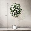 Artificial  Plant 209