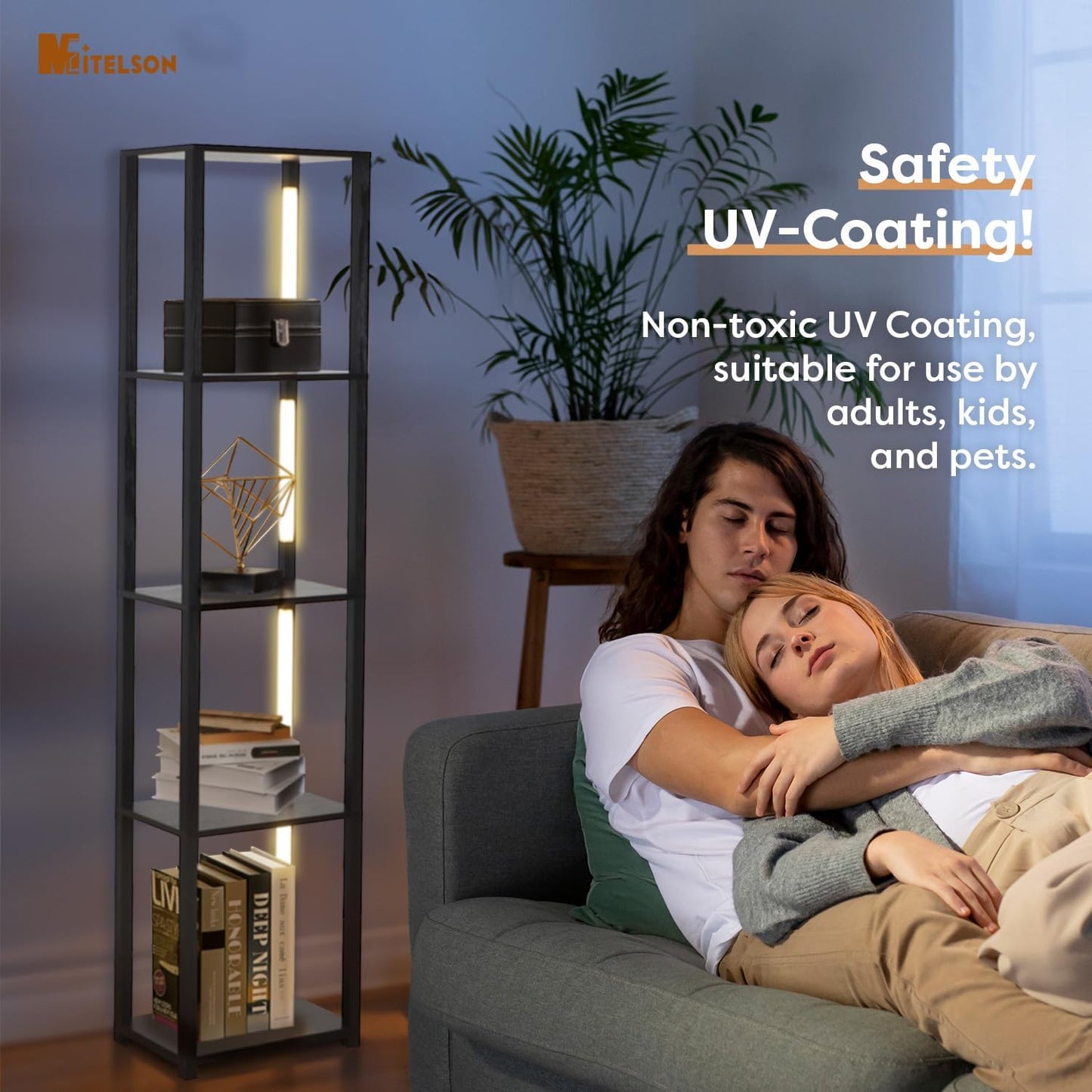 Display Shelf with Dimmable Lights